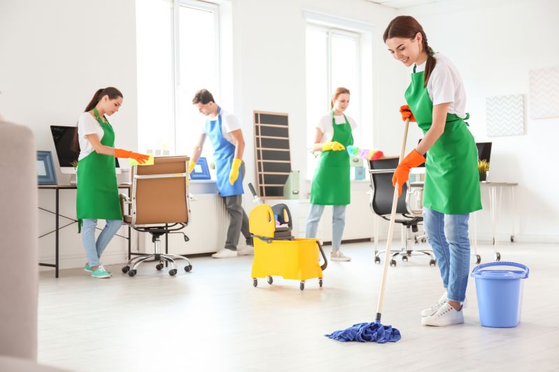Professional Cleaning Team